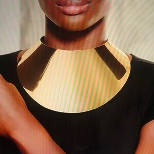 Trending Fall 2024 Large Scooped Bib Choker Necklace